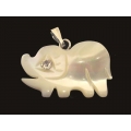 Pandantiv sidef CATE