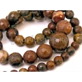 Stripe brown jasper, fatetat, sirag Mm